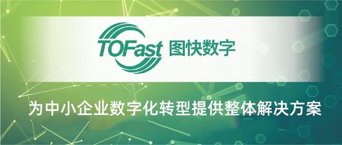 臨安數(shù)字化服務(wù)商 以數(shù)字內(nèi)容制作服務(wù)獲評市級(jí)優(yōu)秀背后的創(chuàng)新實(shí)踐